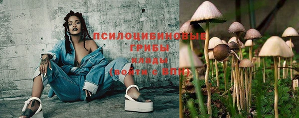 синтетический гашиш Алексин